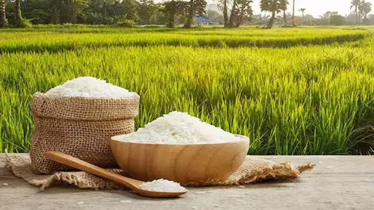 धान में धन,धना धन